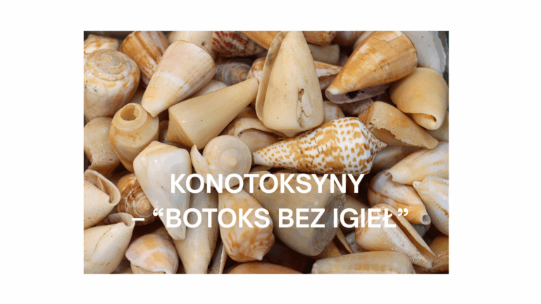 Konotoksyny ślimaków morskich – nowa era w kosmetologii przeciwzmarszczkowej